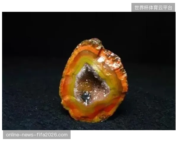 体育产业投资基金集体退场,依赖单一赛事奖金生存的小众项目运动员面临资金枯竭 体育产业投资基金集体退场,依赖单一赛事奖金生存的小众项目运动员面临资金枯竭
